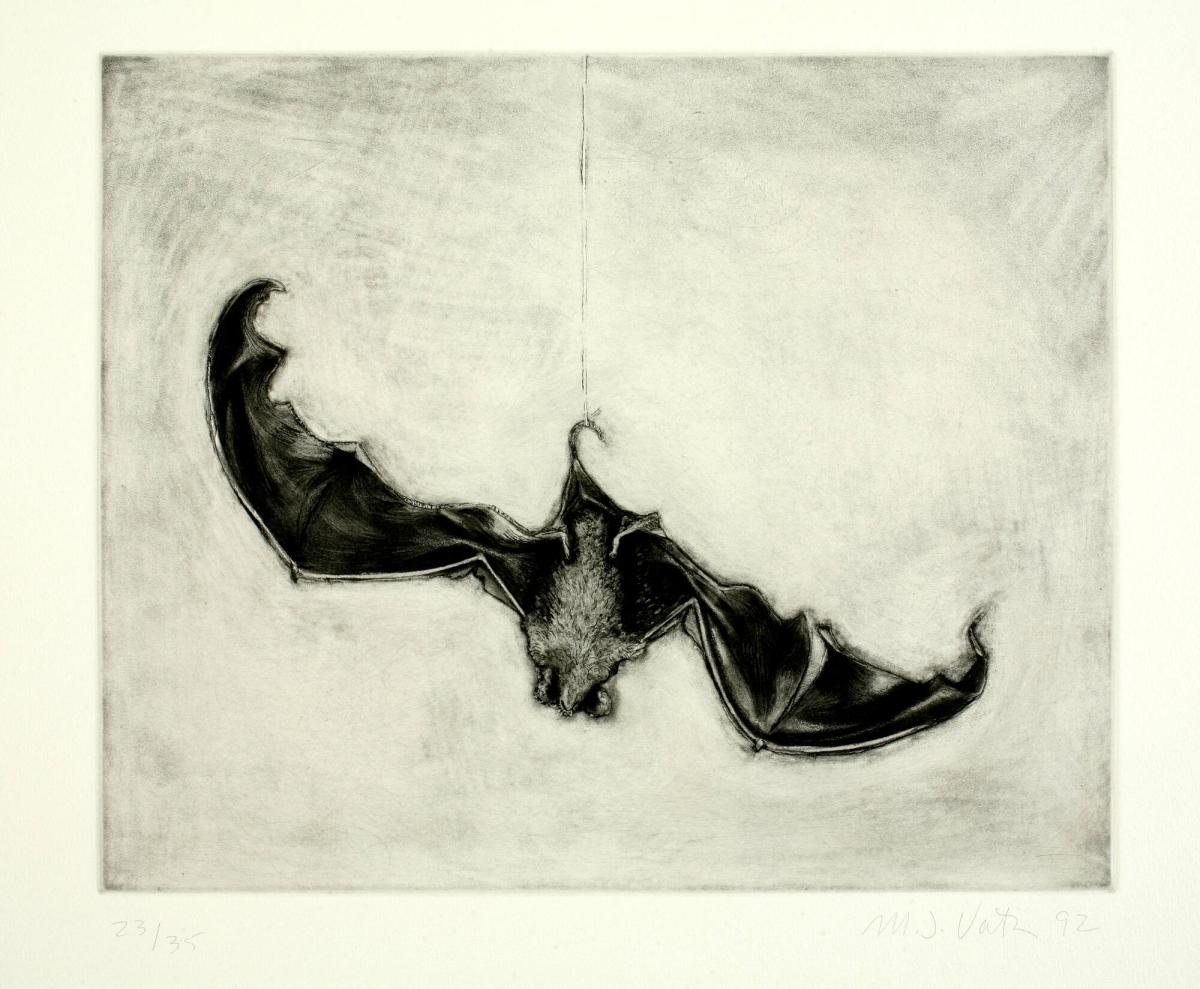 Dead Bat, from the Olive Press Print Portfolio: 1992 - 1993 Visiting Artists and Printers