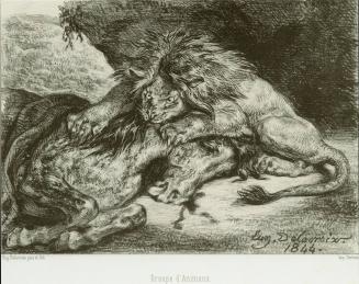 Lion Devouring a Horse