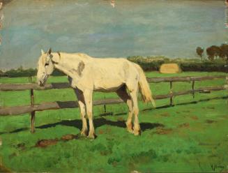 The Pensioner (White Horse)