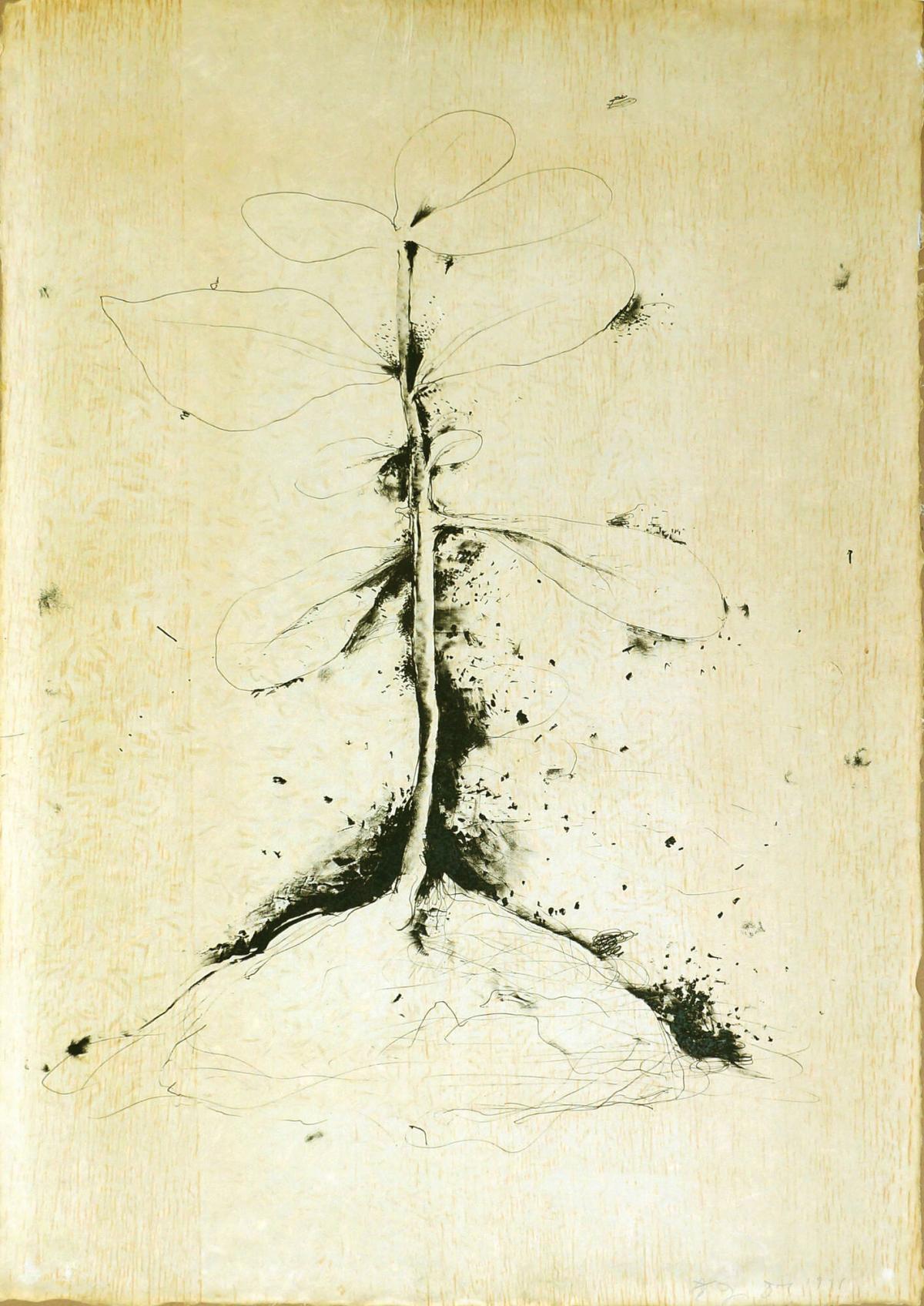 Lithographs of the Sculpture: The Plant Becomes a Fan 1 of 5