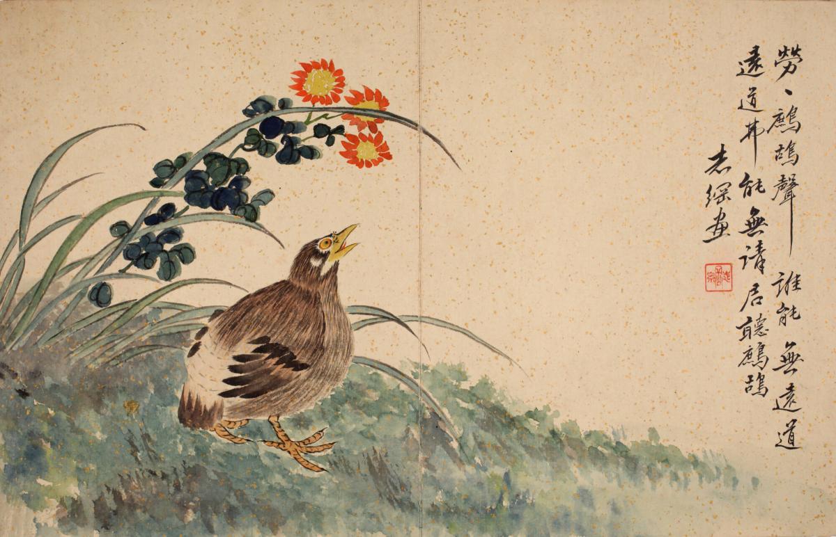 Francolin, from the album Birds and Flowers; Landscapes