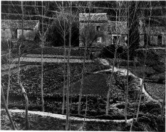 Landscape, Sicily, Italy, from Portfolio Four