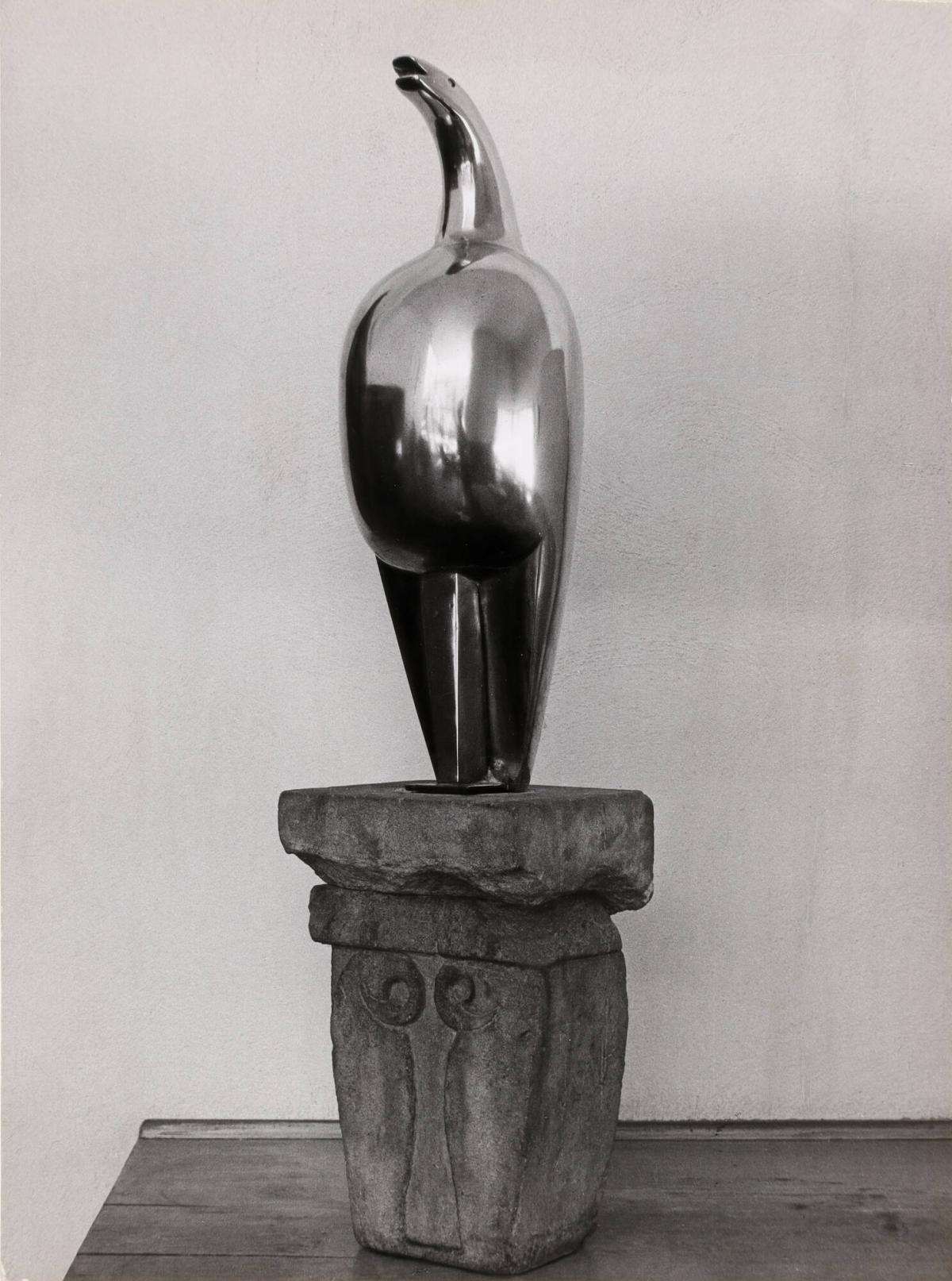 Brancusi's Maistra