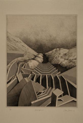 Landscape XLVI, from the Corcoran 2005 Print Portfolio: Drawn to Representation