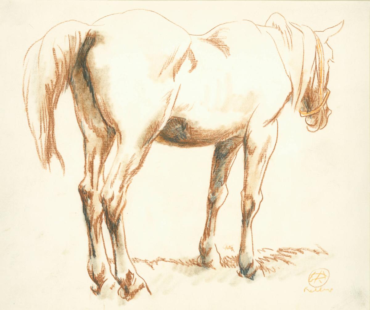 Horse