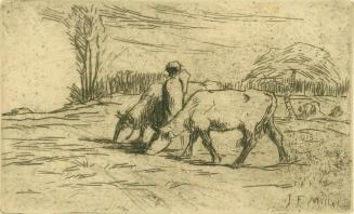 Two Cows
