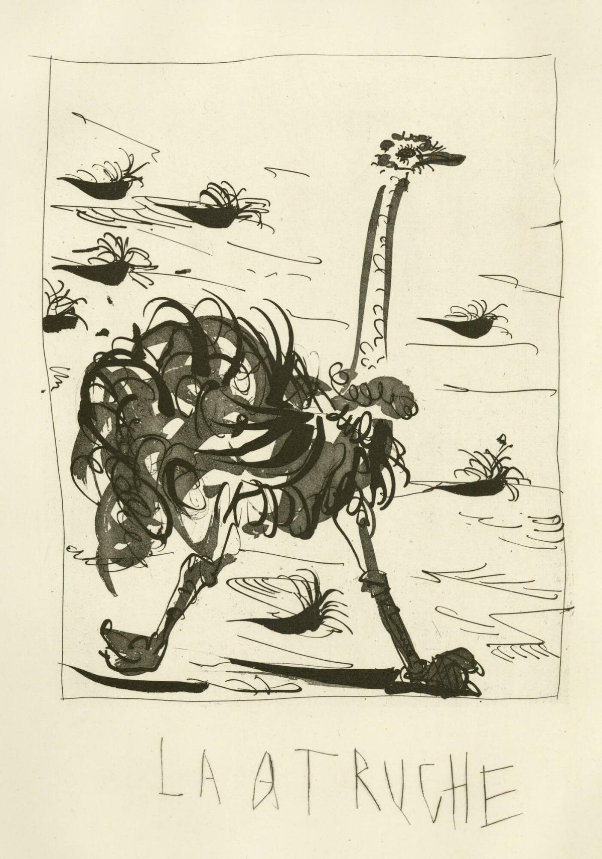 La Atruche (The Ostrich)